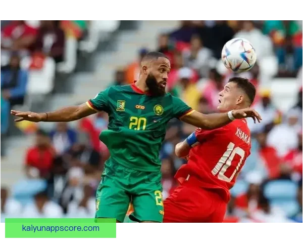 世界杯精彩竞猜赛事直播全程解读与赛况实时追踪指南